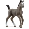 Figurine Poulain Selle Français - Schleich