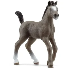 Figurine Poulain Selle Français - Schleich