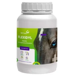 Flexidyl mobilité articulaire cheval - Vet Suxs