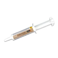 Foal Colostrum seringue minéraux poulain - Horse Master