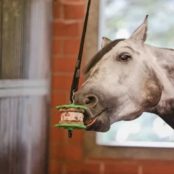 Friandise cheval Sandwich 195g Delizia