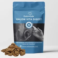 Friandises cheval probiotiques Galow Digest 690 g - Galowade