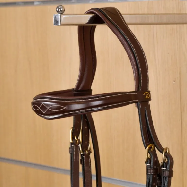 Frontal anatomique cheval droit D Collection - Dy'on