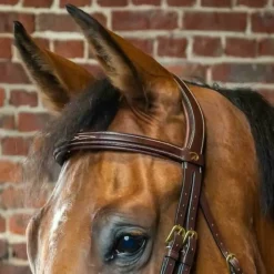 Frontal cheval droit D Collection - Dy'on