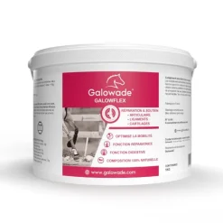 Galowflex-mobilité cheval Harpagophytum Glucosamine Chondroïtine Msm - Galowade