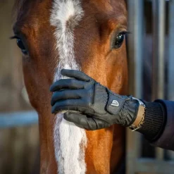 Gants équitation Classic Riding - Glovers