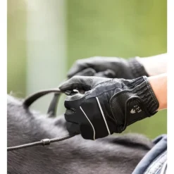 Gants équitation toutes saisons Function - Elt