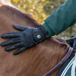 Gants équitation toutes saisons rider Molly - Harcour