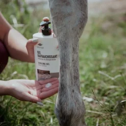 Gel rafraichissant cheval bio - Ekinat