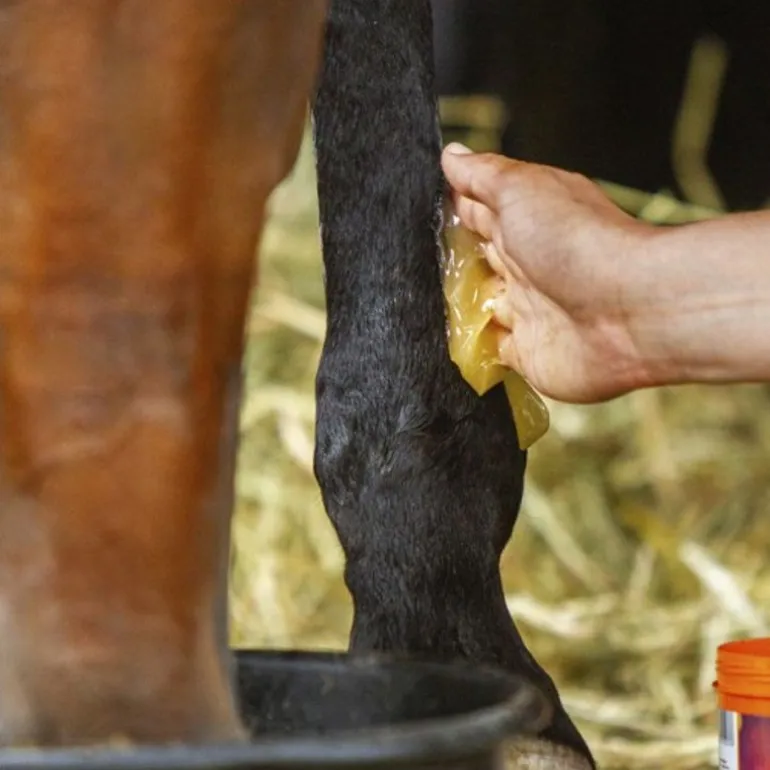 Gel réfrigérant cheval 600 ml - Equinatura