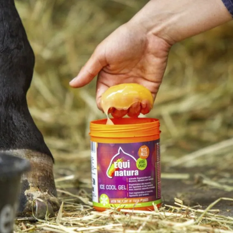 Gel réfrigérant cheval 600 ml - Equinatura