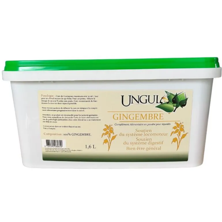 Gingembre en poudre - Digestion cheval - Ungula Naturalis