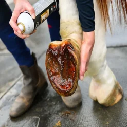 Goudron de Norvège sabot cheval - Gamme du Maréchal