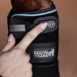 Guêtre thérapeutique cheval W-Health and Care (vibrations∕froid∕chaleur) - Waldhausen