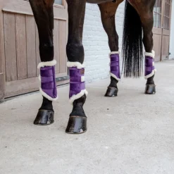 Guêtres cheval Brushing Velvet Contrast - Kentucky