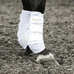 Guêtres cheval Stretch and Flex intégrales - Equilibrium