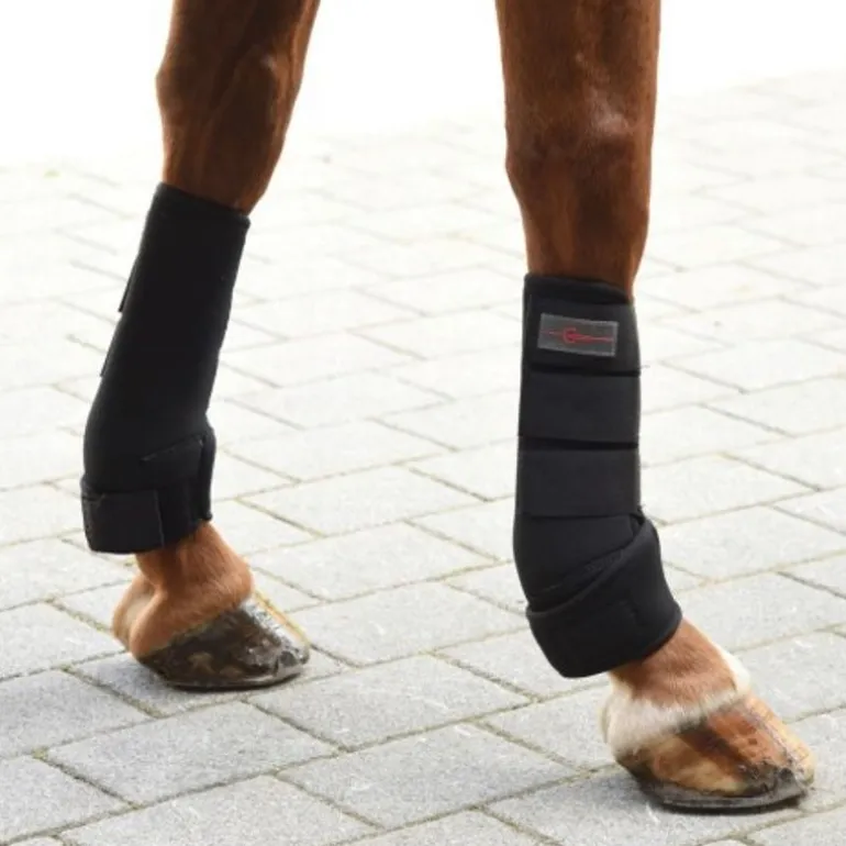 Guêtres de dressage intégrales cheval x 4