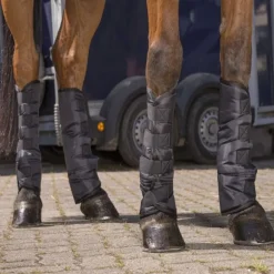 Guêtres de transport cheval économiques (x4) - Riding World