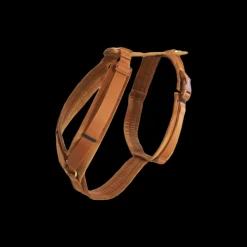 Harnais pour chien actif Velvet - Kentucky Dogwear