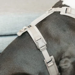 Harnais pour chien actif Velvet - Kentucky Dogwear