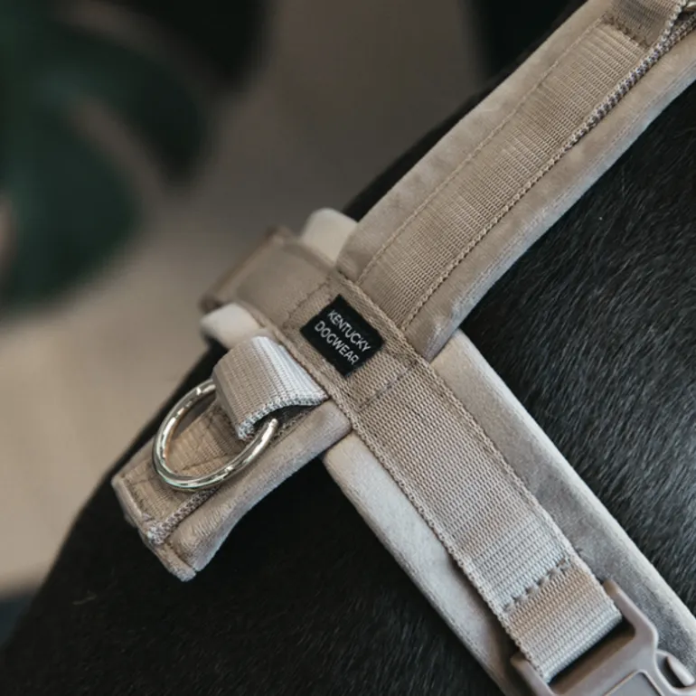 Harnais pour chien actif Velvet - Kentucky Dogwear