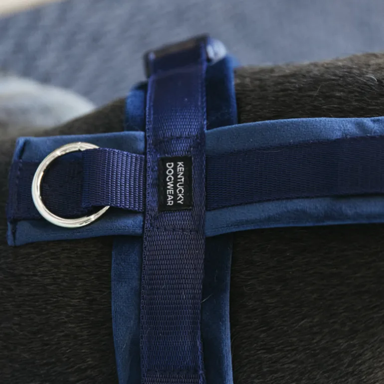 Harnais pour chien actif Velvet - Kentucky Dogwear