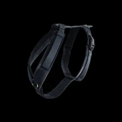 Harnais pour chien actif Velvet - Kentucky Dogwear