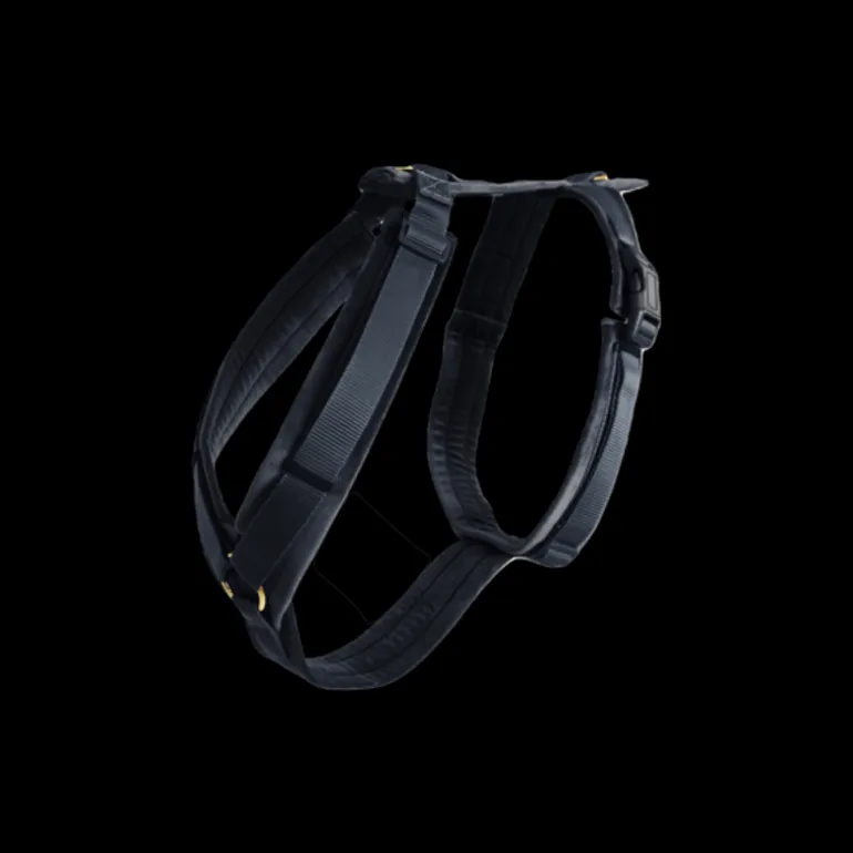 Harnais pour chien actif Velvet - Kentucky Dogwear