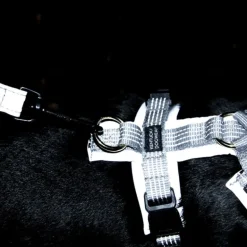Harnais pour chien réfléchissant Active Reflective - Kentucky Dogwear