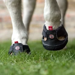 Hipposandale cheval Trekking Slim - Equine Fusion