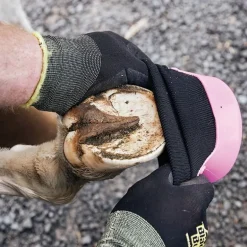 Hipposandale de soin cheval - Tubbease