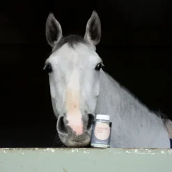 Hoof Choc huile sabot sensible cheval - Alodis Care