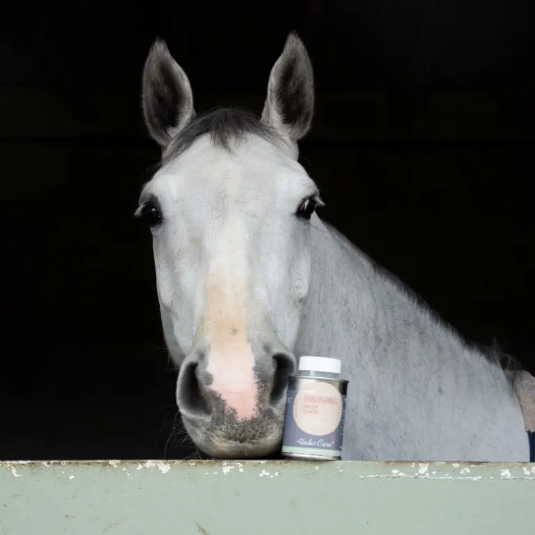 Hoof Choc huile sabot sensible cheval - Alodis Care