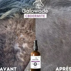Huile dermite estivale cheval CBDermite Date courte - Galowade