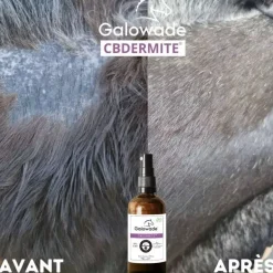 Huile dermite estivale cheval CBDermite Date courte - Galowade