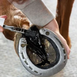 Huile fourchettes Clean - Alodis Care