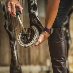 Huile pour sabots Arbre à thé - Carr and Day and Martin