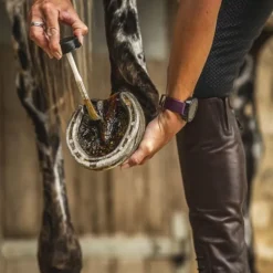 Huile sabot cheval arbre à thé Cornucrescine Hoof Dressing Tea Tree - Carr & Day & Martin