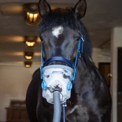 Inhalateur à ultrasons cheval complet Air One sur secteur - Hippomed