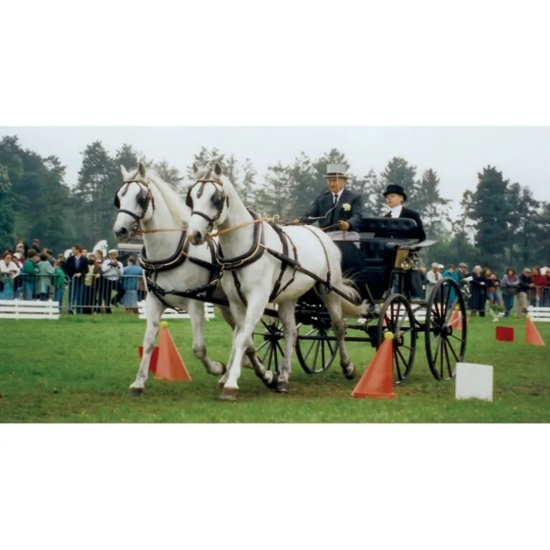 Jeu de cônes et balles d'attelage - La Gée