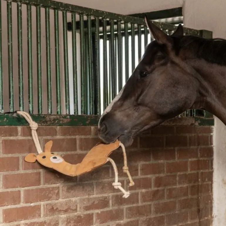 Jouet de box cheval
