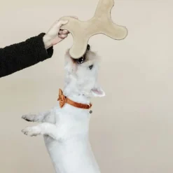 Jouet pour chien os pastel - Kentucky Dogwear