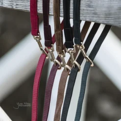 Laisse chien Corduroy 120cm - Kentucky