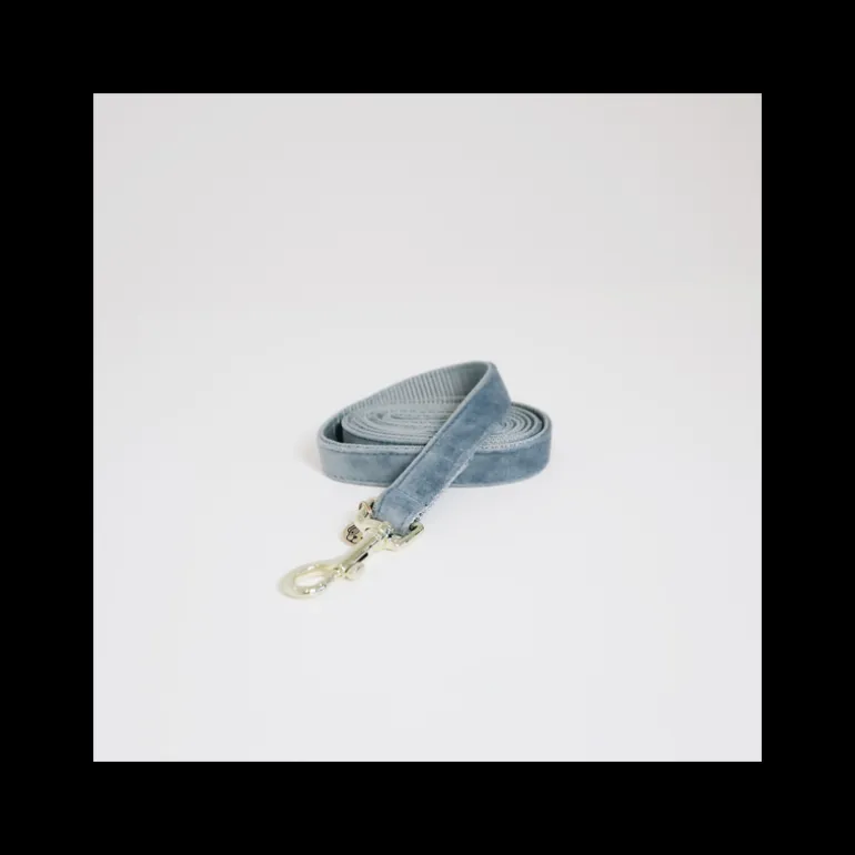 Laisse chien Velvet Fashion - Kentucky Dogwear