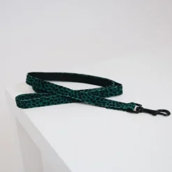 Laisse pour chien Léopard - Kentucky