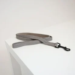 Laisse pour chien Lézard - Kentucky