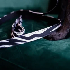 Laisse pour chien Zebra - Kentucky