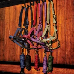 Licol + longe cheval Amigo - Horseware