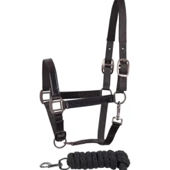 Licol + Longe cheval Metallic II - Harry's Horse