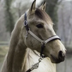 Licol cheval 2 en 1 Transport et Grooming La Cense - Dy'on